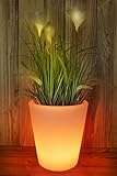 Arnusa Oasis Lights Blumentopf - 7