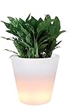 Ikea blumentopf Ikea blumentopf