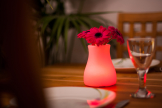 Gastronomie Tischdeko OLIO rot mit Blume