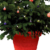 bloom-weihnachten-beleuchteter-blumentopf-weihnachtsbaumständer